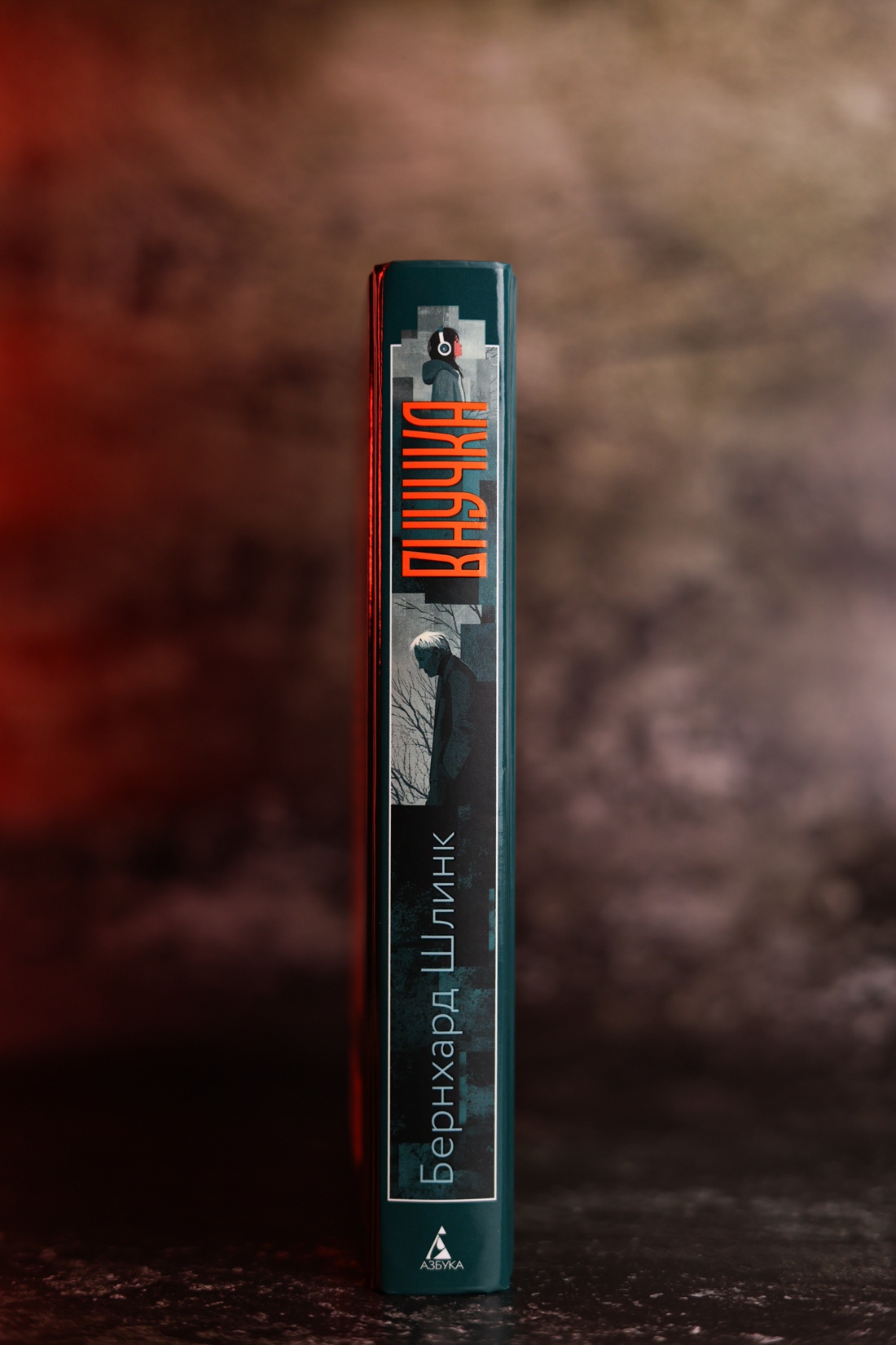 Промо материал к книге "Внучка (Настроение читать)" №5