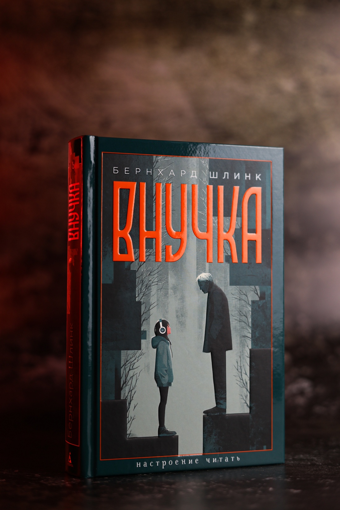 Промо материал к книге "Внучка (Настроение читать)" №4