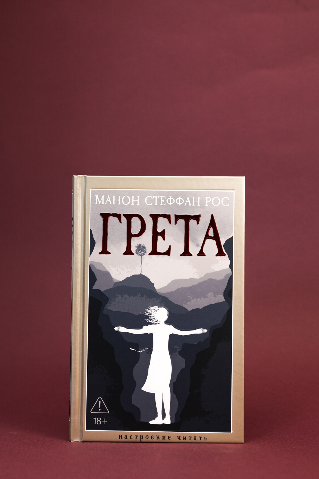 Промо материал к книге "Грета (твердый)" №5
