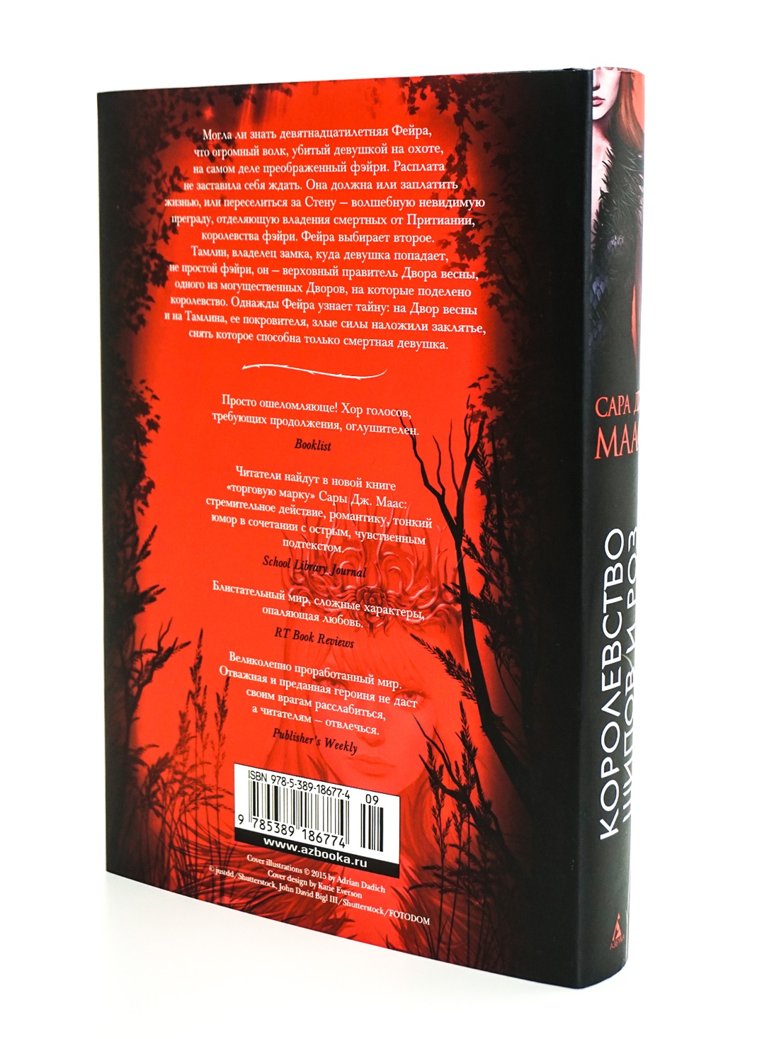 Промо материал к книге "Королевство шипов и роз" №4