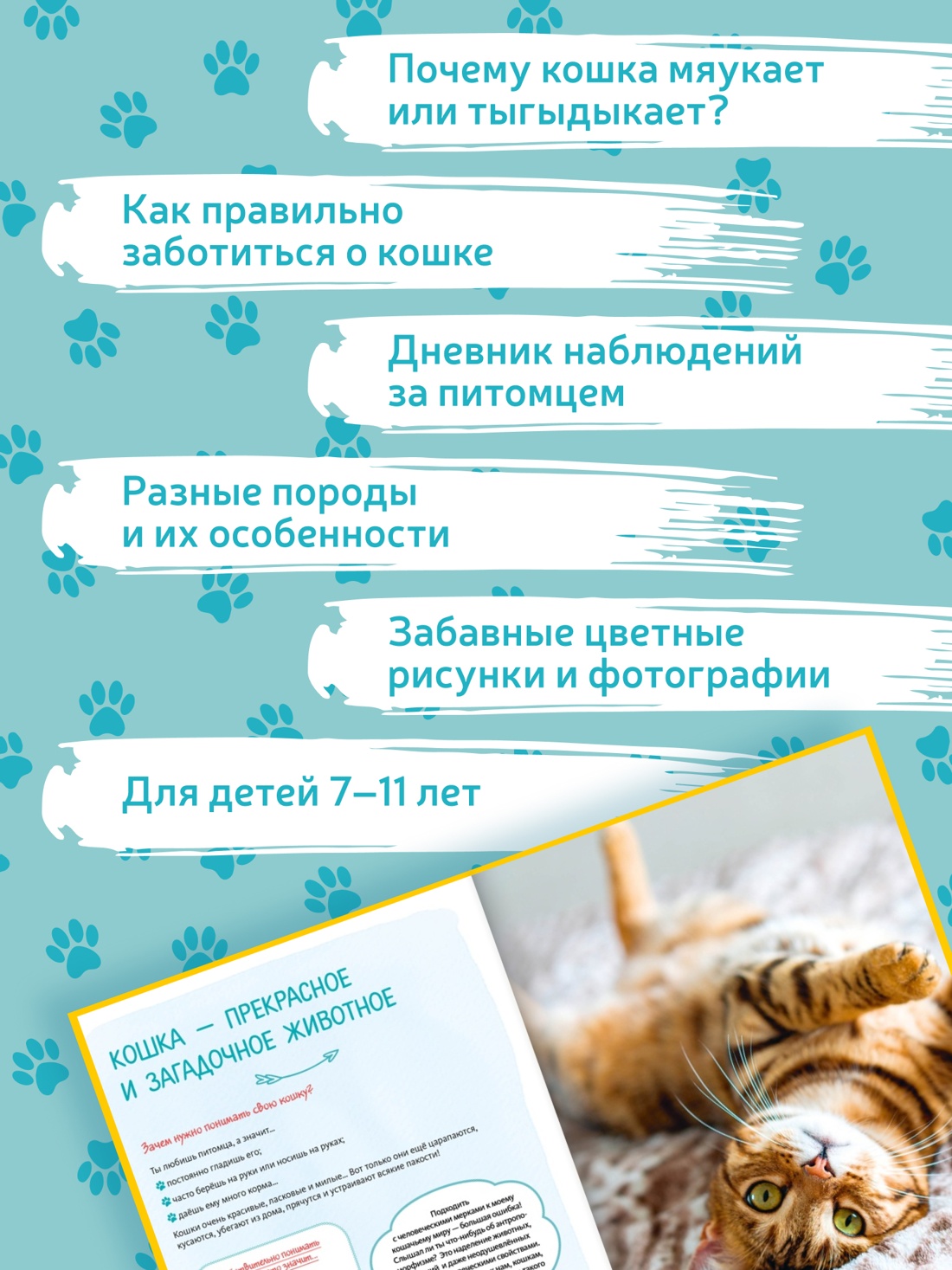 Промо материал к книге "Я и моя кошка. Как понять питомца и стать ему другом" №1