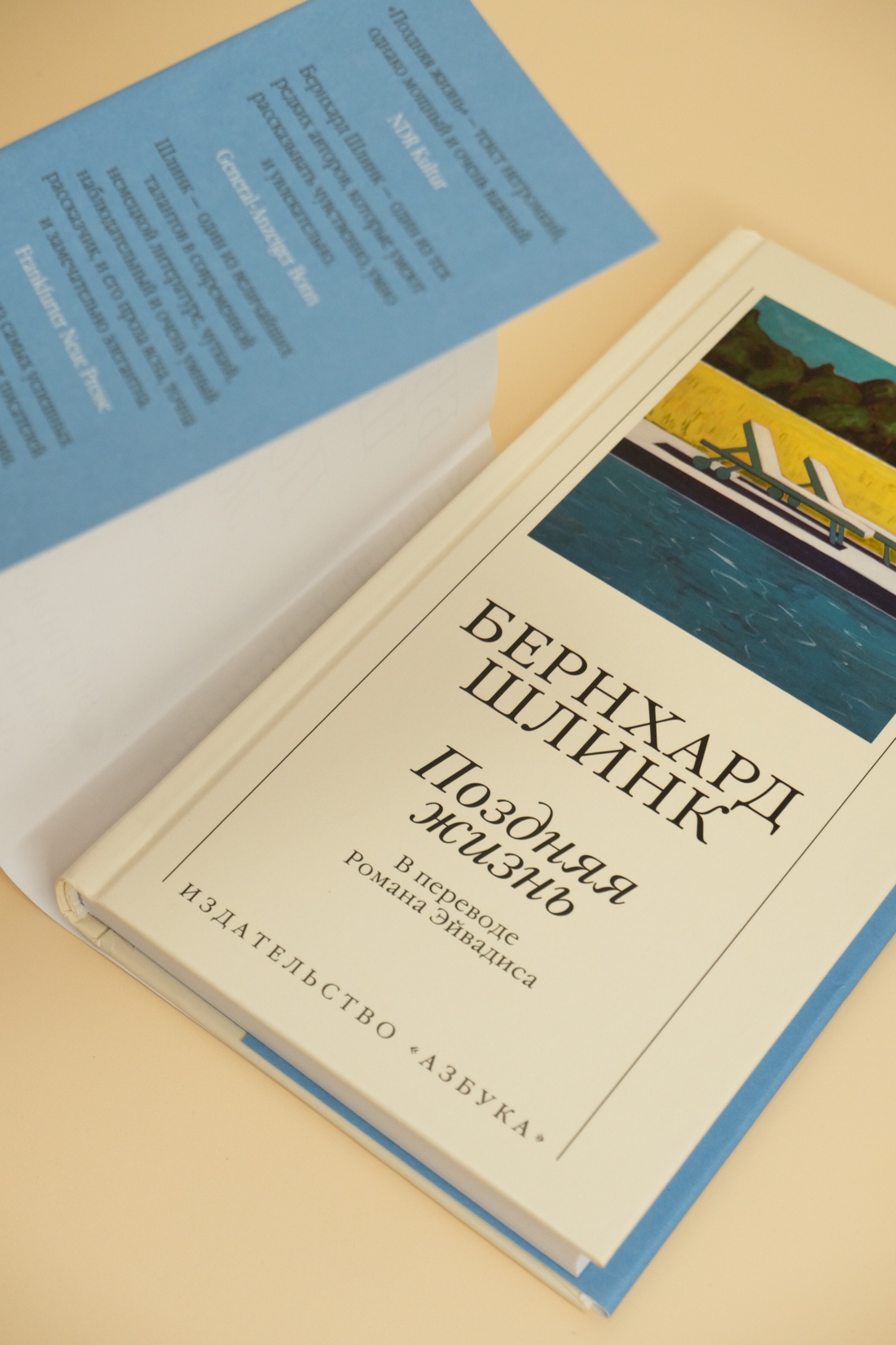 Промо материал к книге "Поздняя жизнь" №10