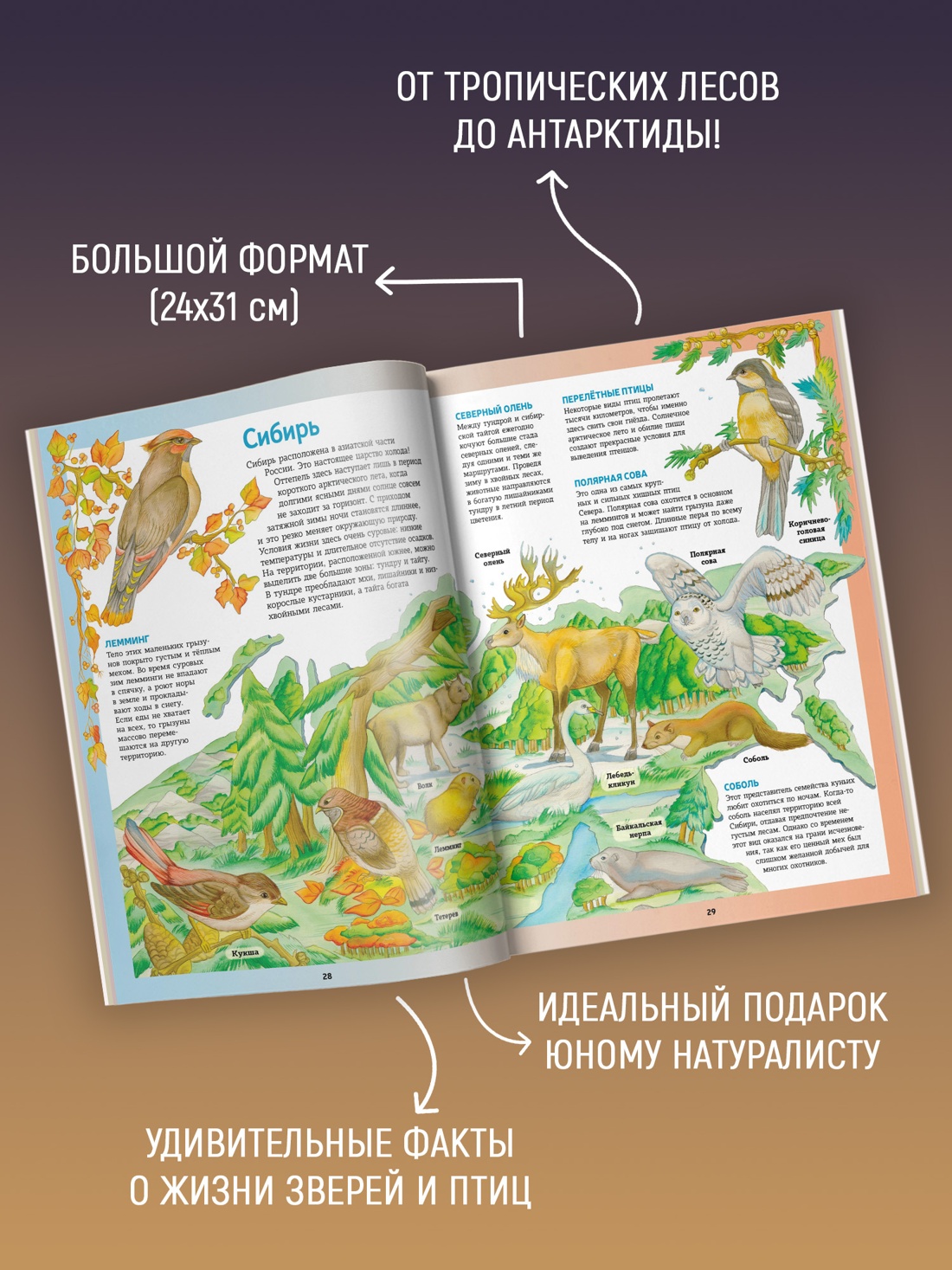 Промо материал к книге "Атлас животных в картинках. Путешествие вокруг света" №1