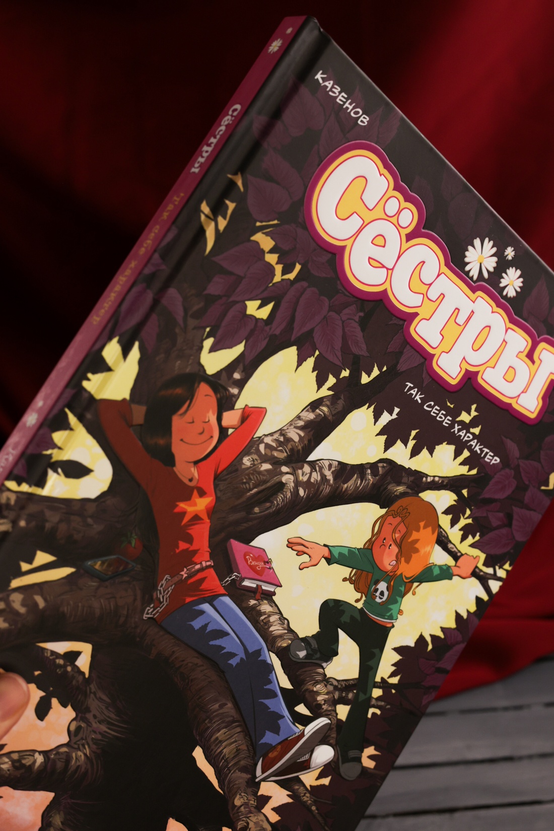 Промо материал к книге "Сёстры. Так себе характер" №9