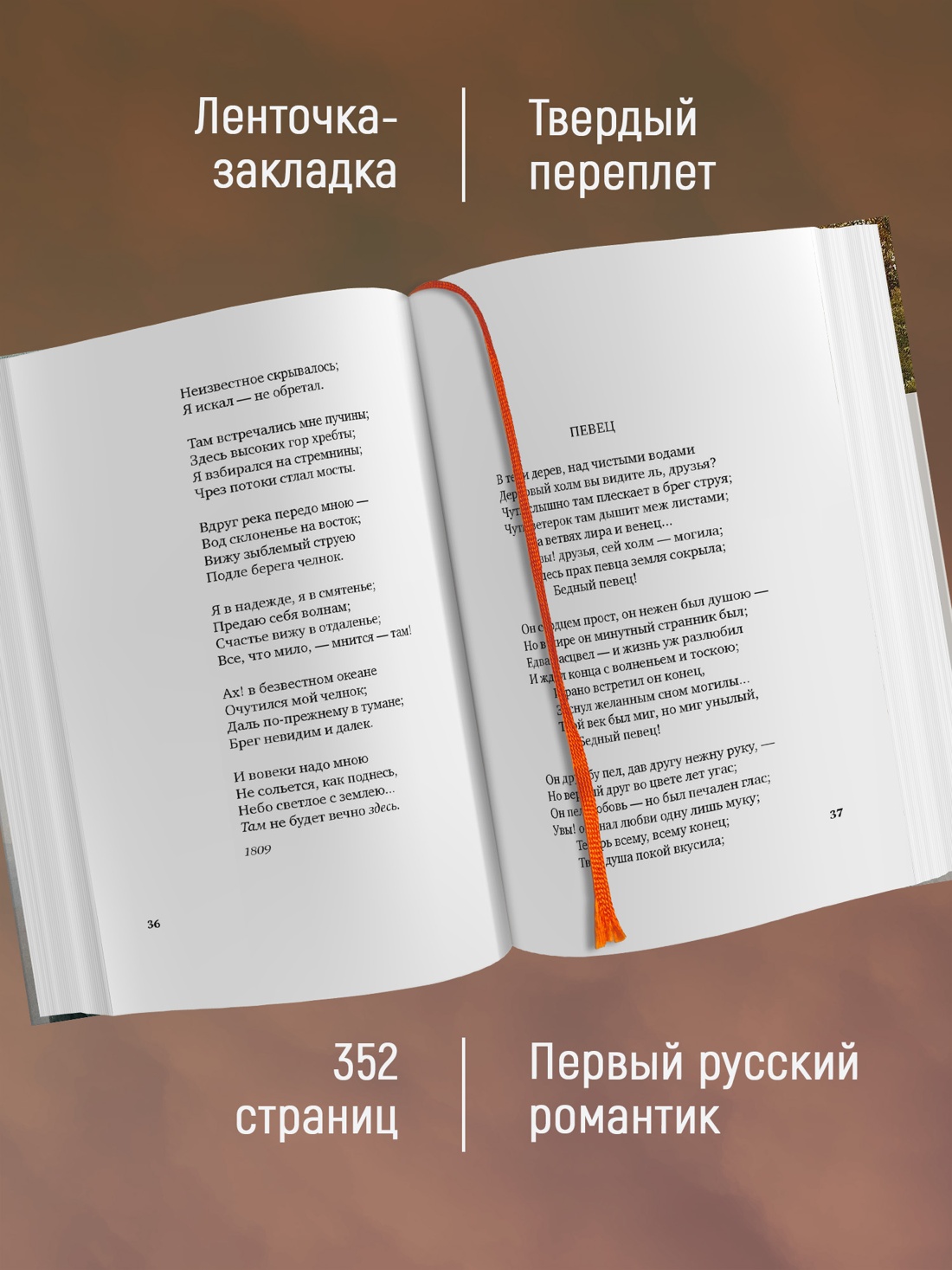 Промо материал к книге "Стихотворения и баллады" №1