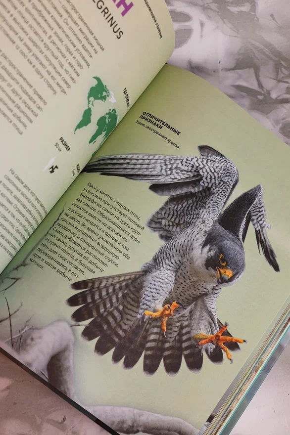 Промо материал к книге "Огромная энциклопедия животных мира" №10