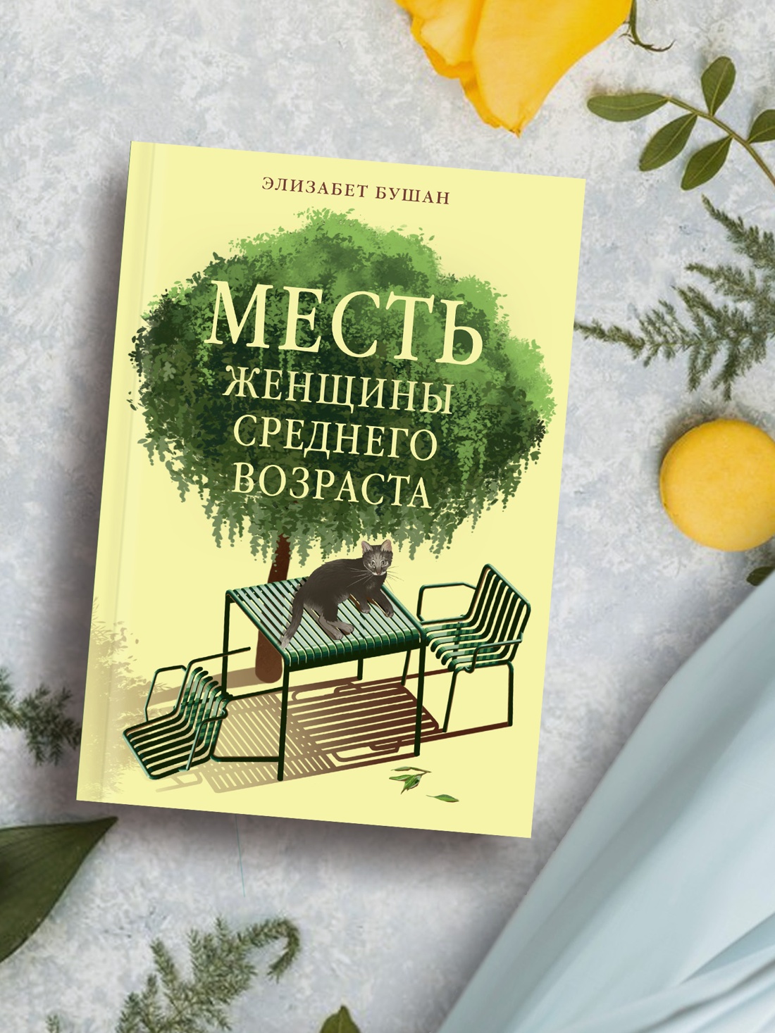 Промо материал к книге "Месть женщины среднего возраста" №5