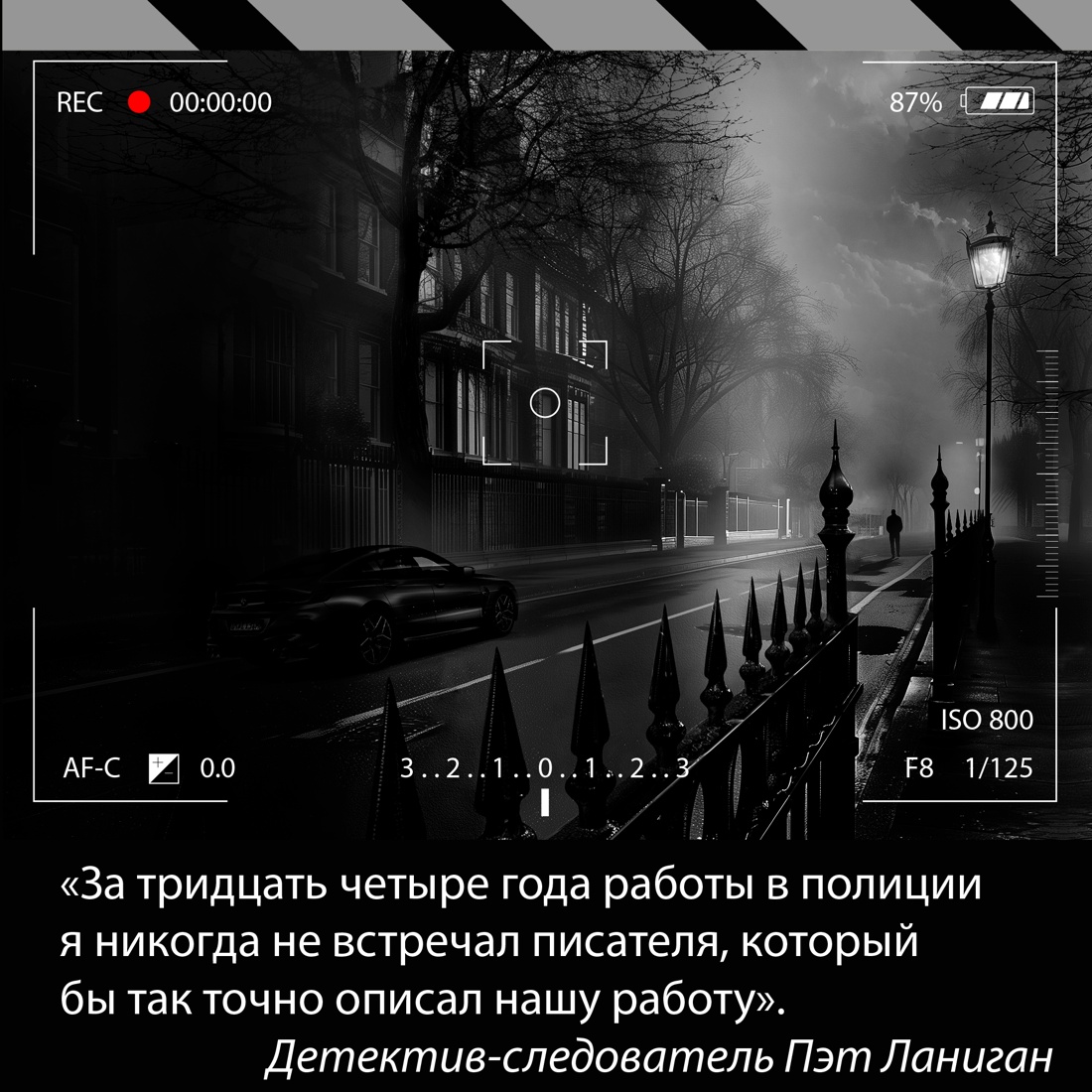 Промо материал к книге "Умереть с первого взгляда" №5