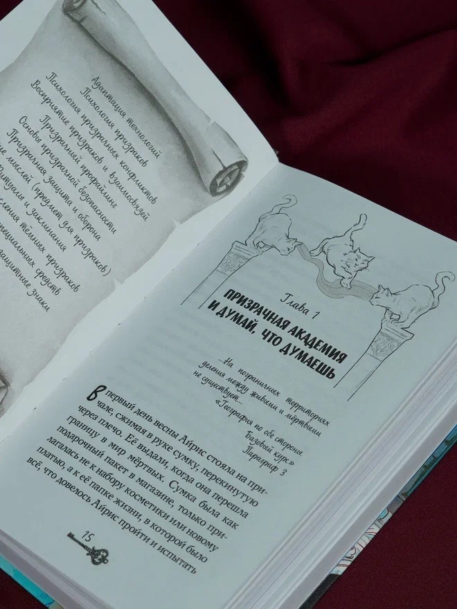 Промо материал к книге "Призраки академии Вичбор" №10