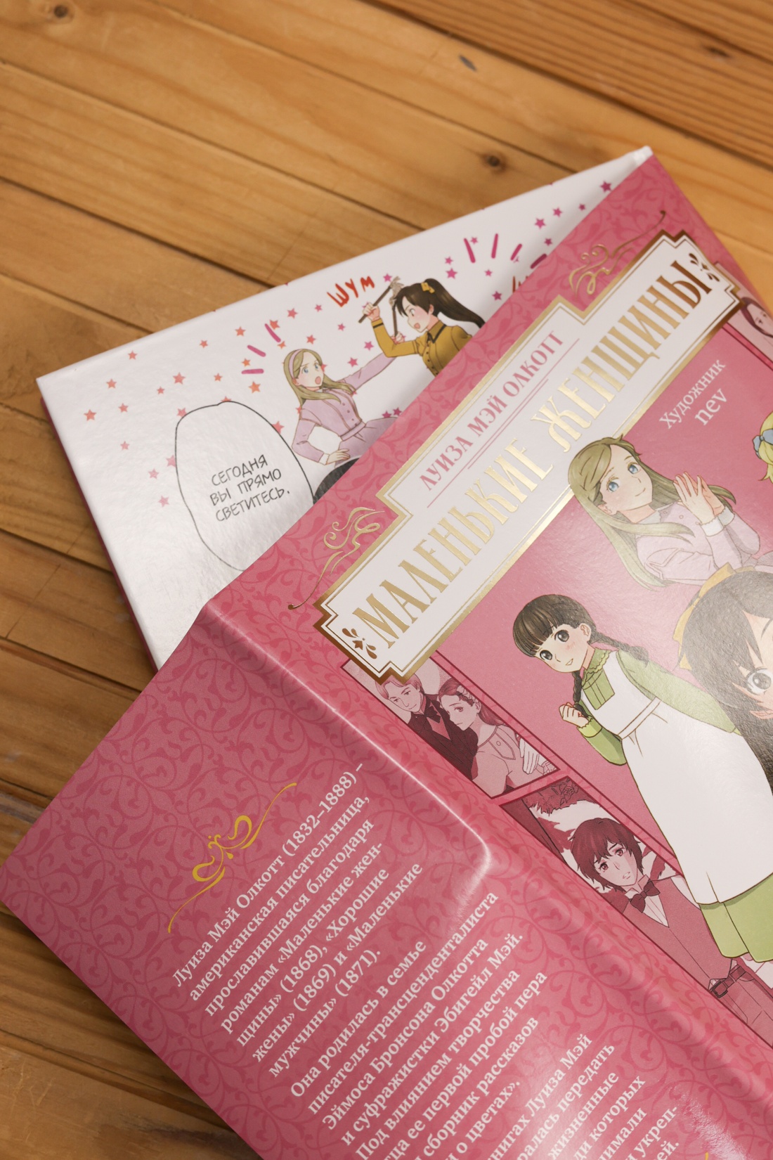 Промо материал к книге "Маленькие женщины" №8