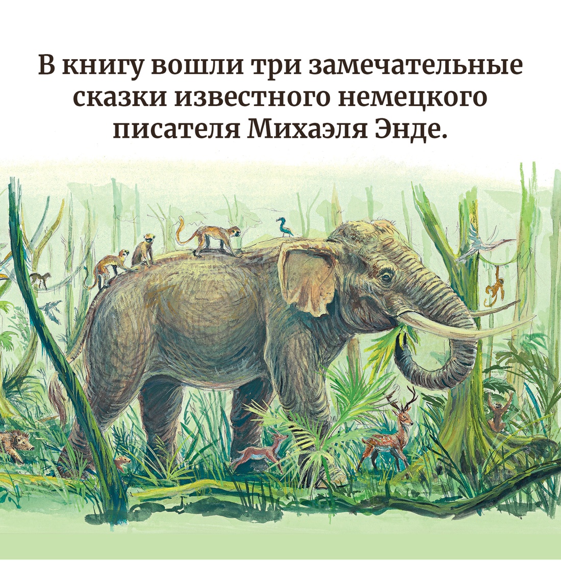 Промо материал к книге "Самые красивые сказки о животных" №2