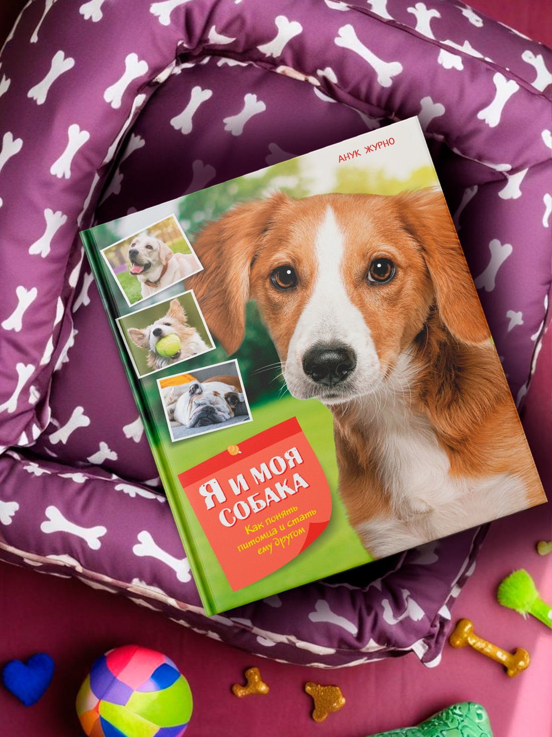 Промо материал к книге "Я и моя собака. Как понять питомца и стать ему другом" №3
