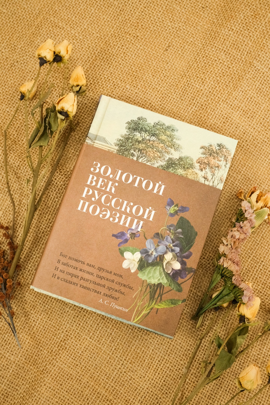 Промо материал к книге "Золотой век русской поэзии" №0