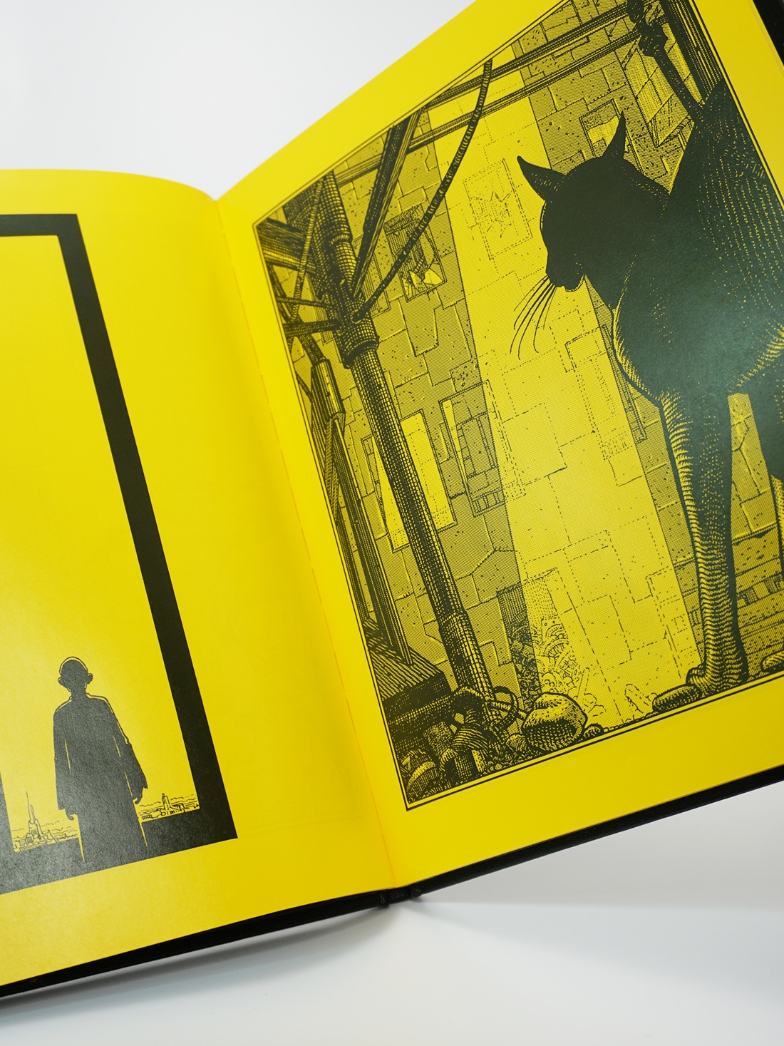 Промо материал к книге "Глаза кошки" №11