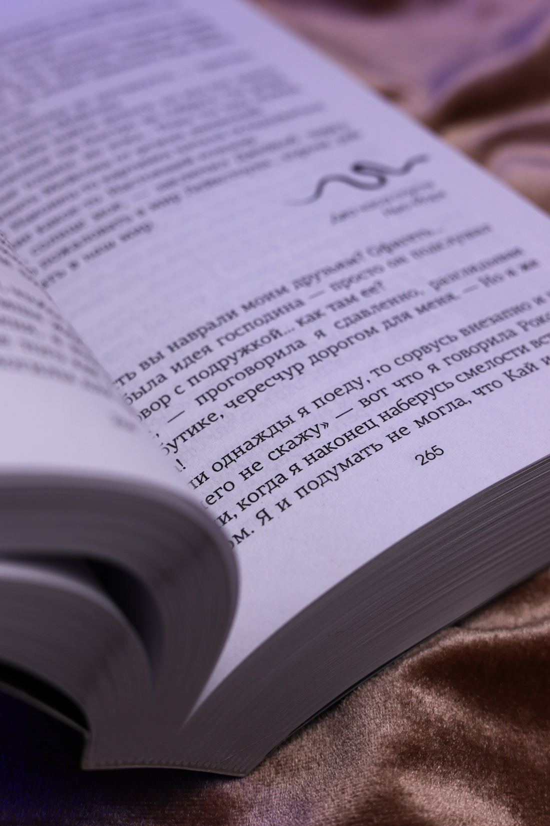 Промо материал к книге "Лейкстоун. Книга 1. Спаси меня, если сможешь" №10