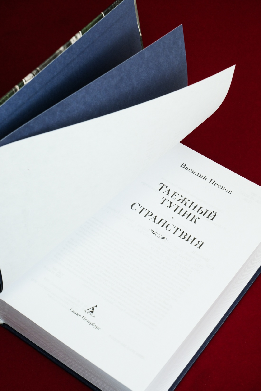 Промо материал к книге "Таежный тупик. Странствия" №9