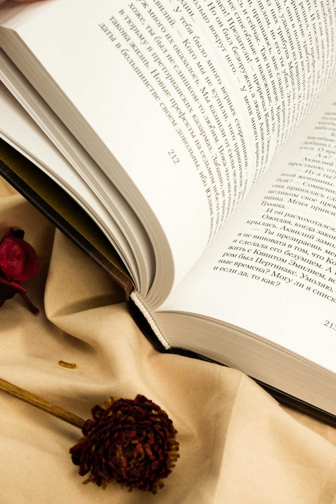 Промо материал к книге "Я, Юлия" №9