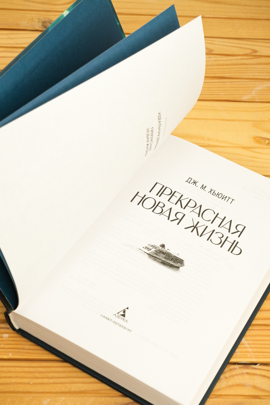 Промо материал к книге "Прекрасная новая жизнь" №5