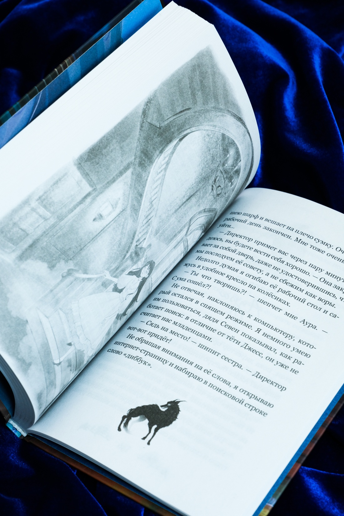 Промо материал к книге "Невидимка интерната Блессвуд" №11