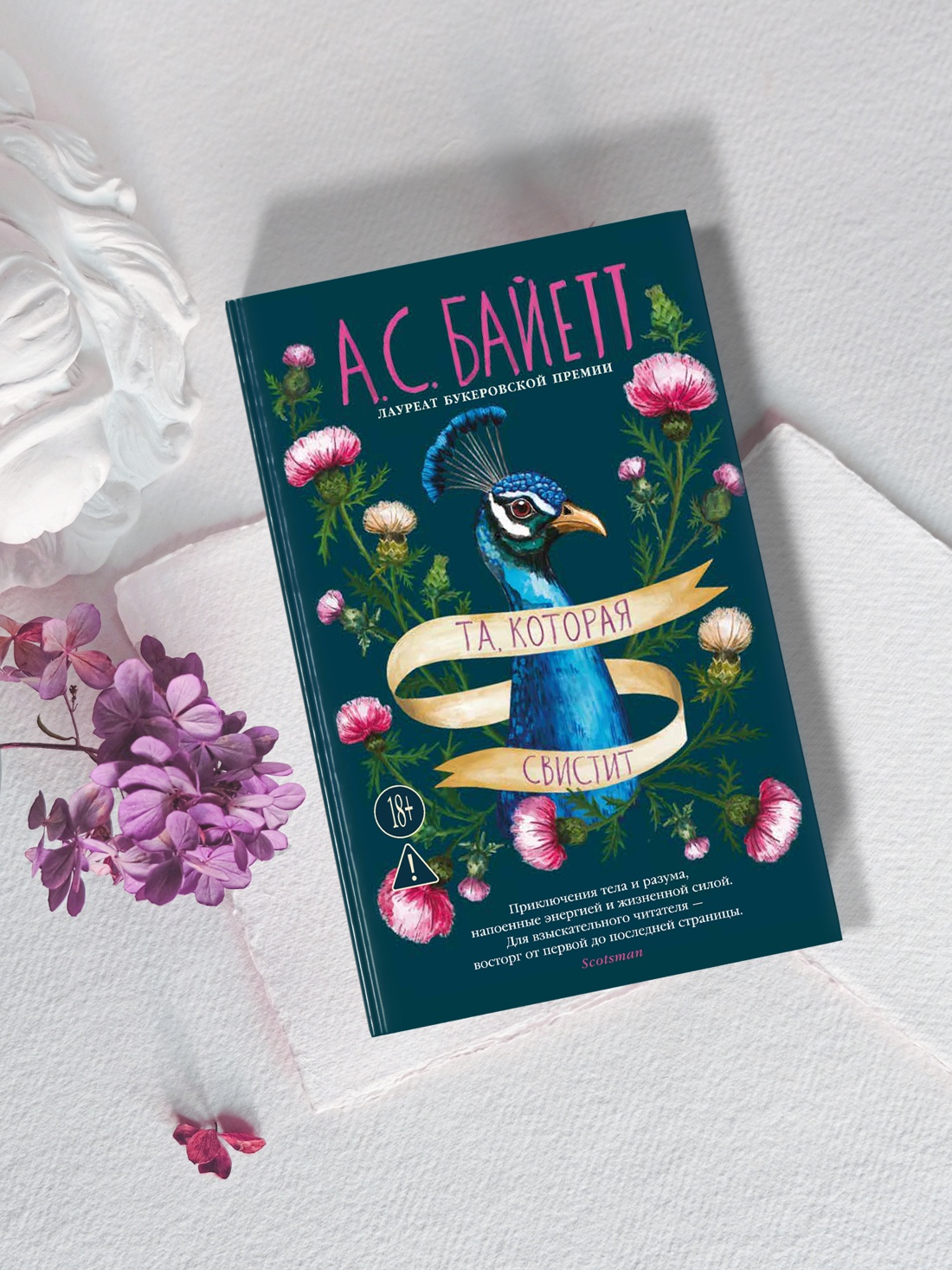 Промо материал к книге "Та, которая свистит" №4