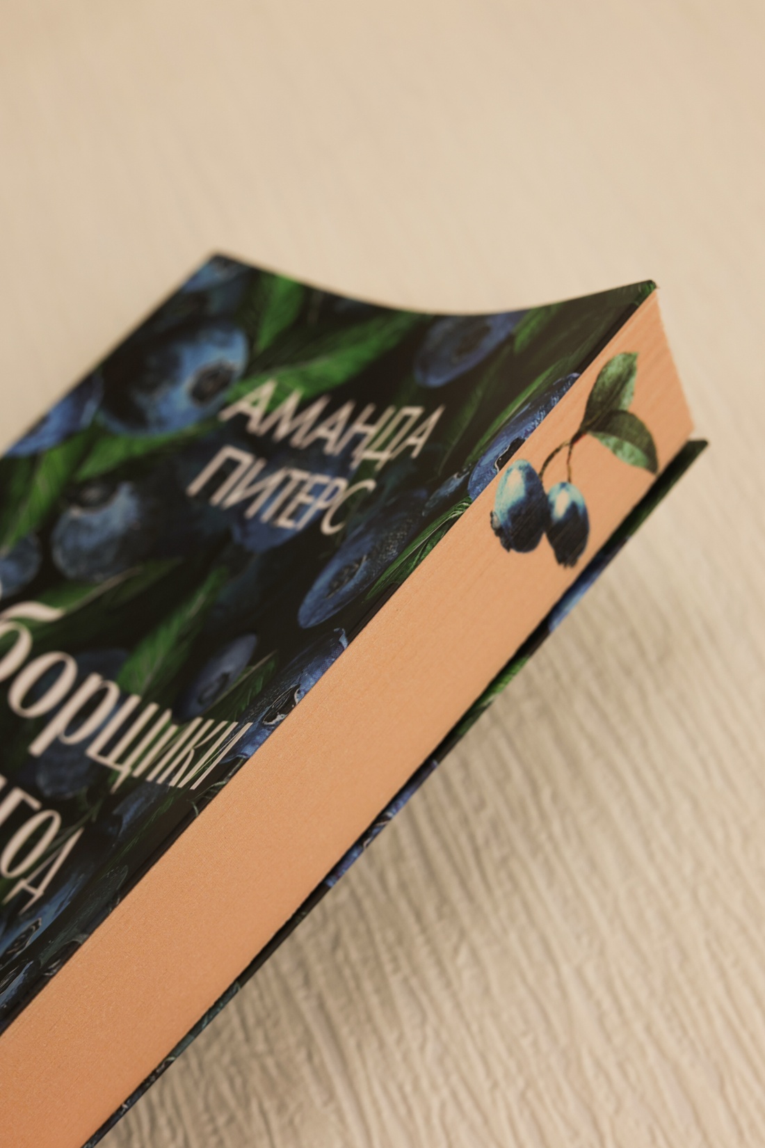 Промо материал к книге "Сборщики ягод" №9