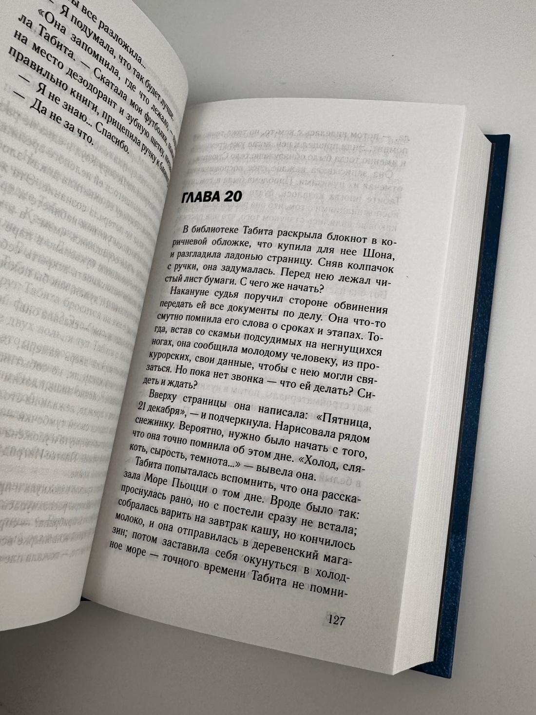Промо материал к книге "Исправительный дом" №7