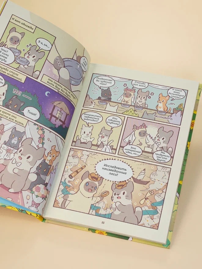 Промо материал к книге "Кошки и суп. Звёздные котята. Том 2" №3