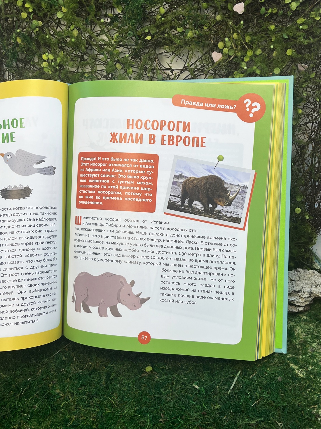 Промо материал к книге "Невероятные животные" №6