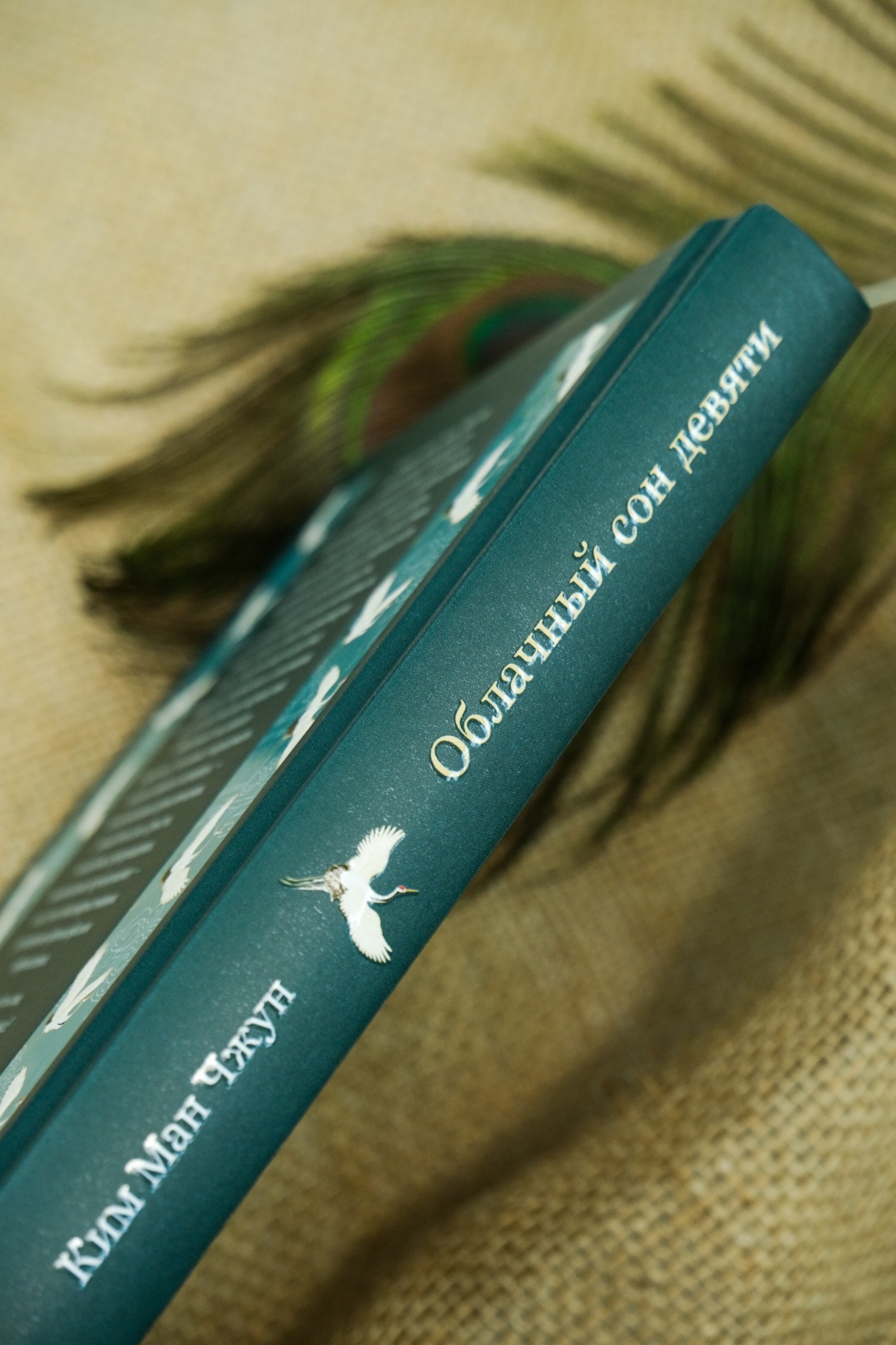 Промо материал к книге "Облачный сон девяти" №9