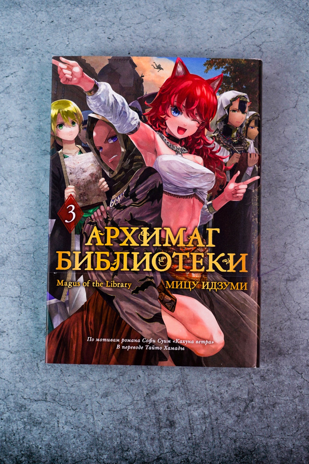 Промо материал к книге "Архимаг библиотеки. Книга 3" №4