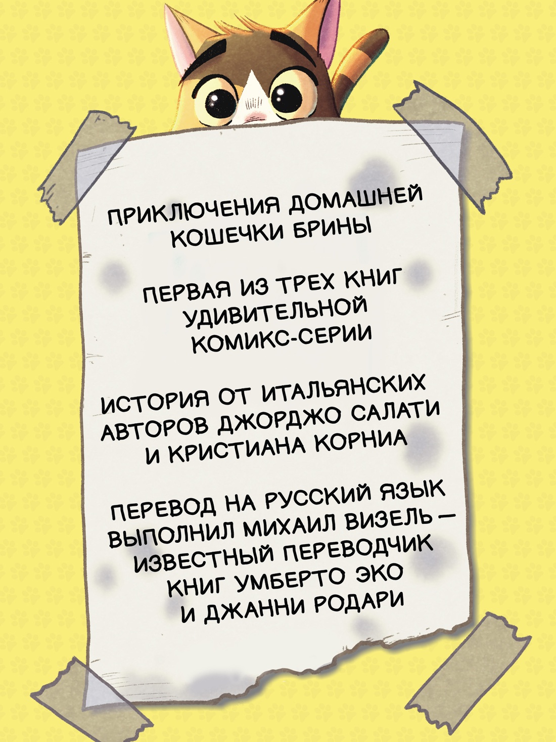 Промо материал к книге "Брина. Стая Кошачьего Солнца" №1