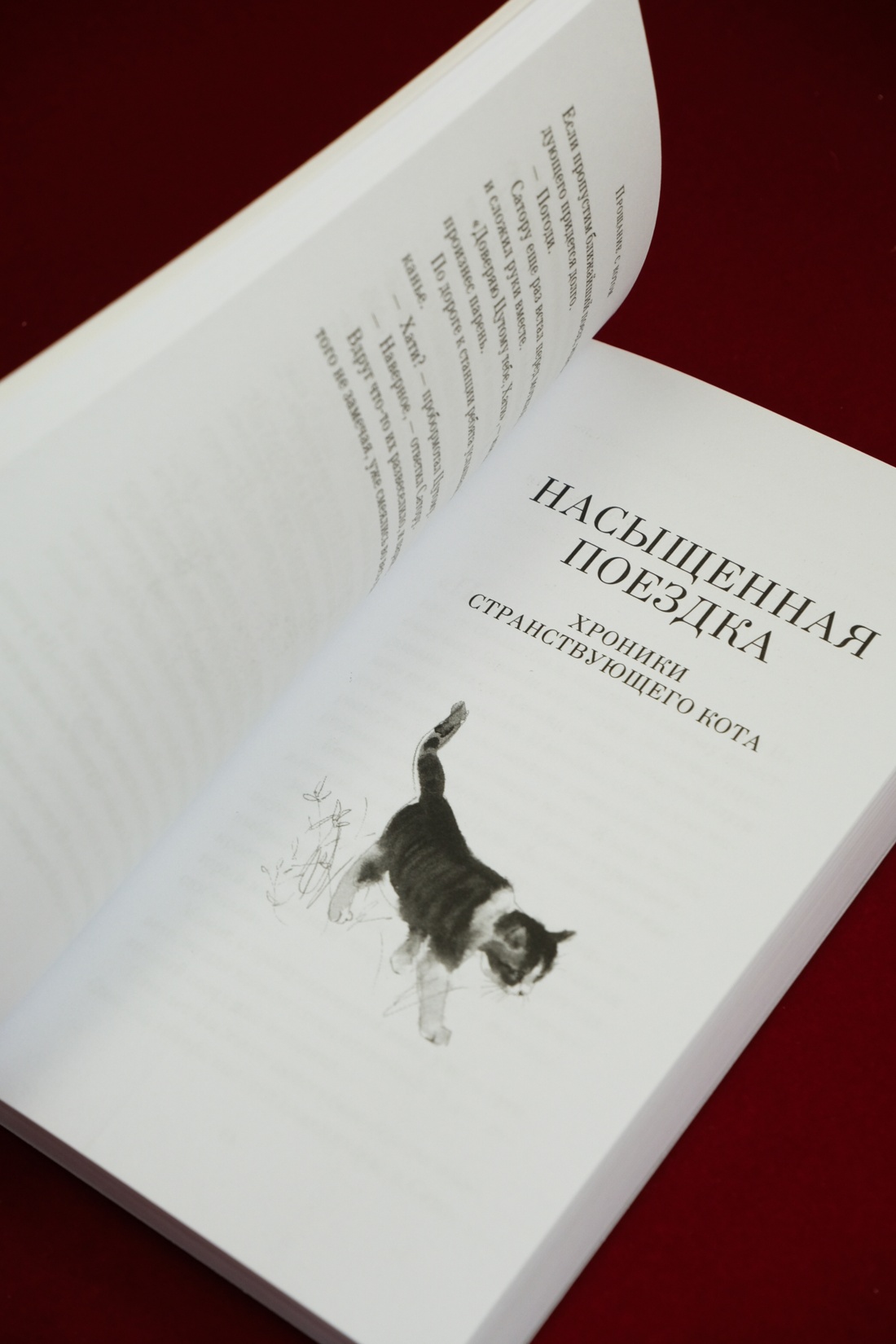 Промо материал к книге "Прощание с котом" №8