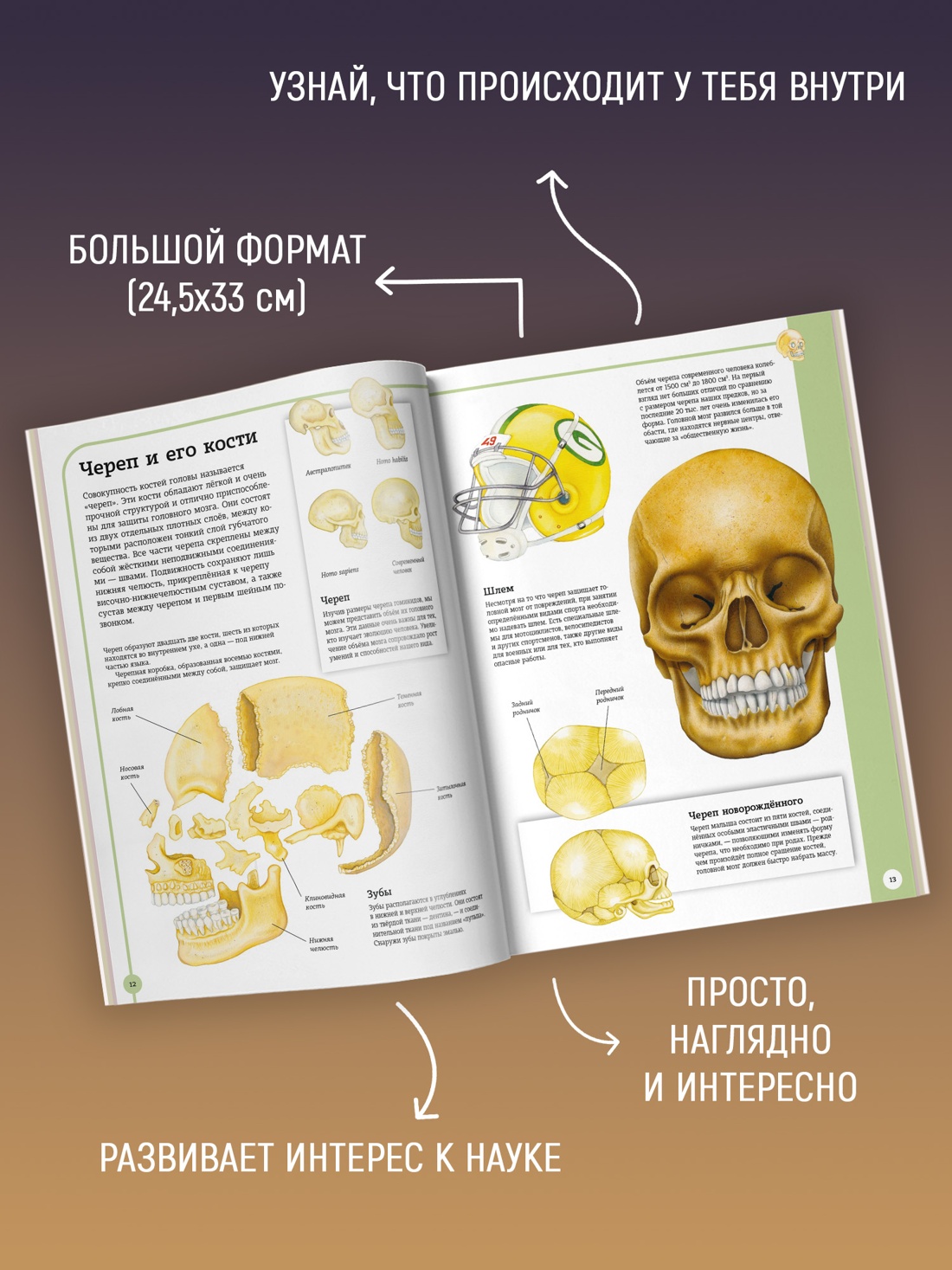 Промо материал к книге "Первый атлас анатомии человека" №1
