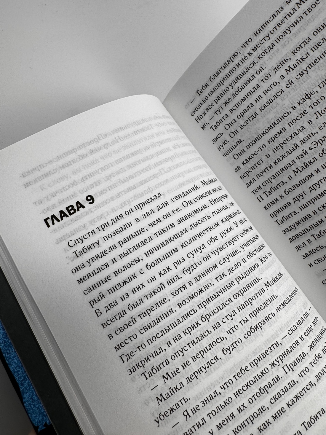 Промо материал к книге "Исправительный дом" №6