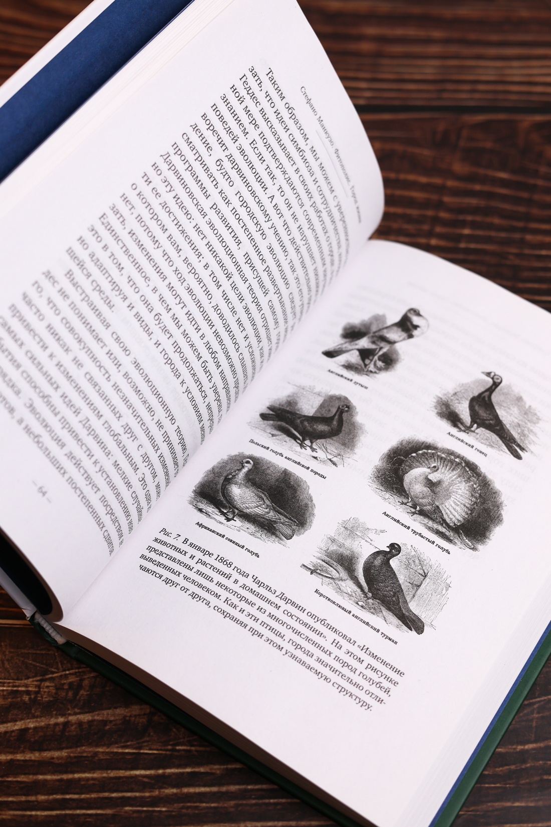 Промо материал к книге "Фитополис. Город жизни" №8