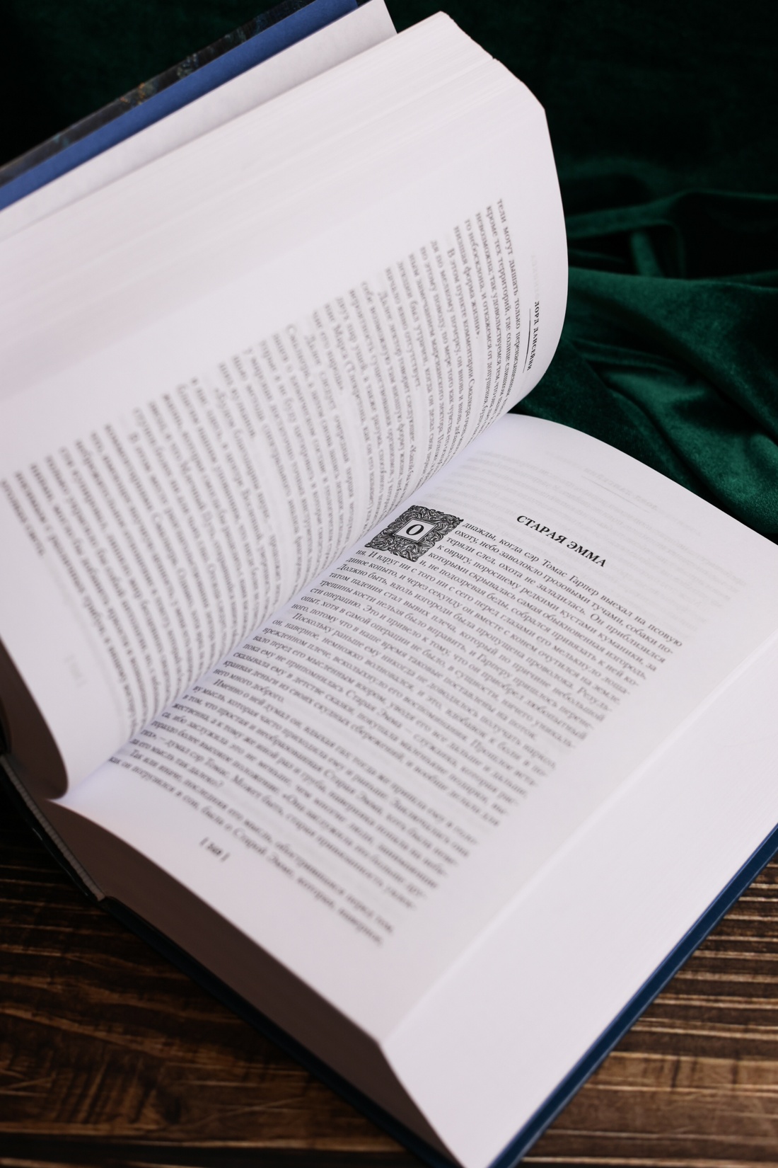 Промо материал к книге "Человек, который съел феникса. Хроники Тенистой Долины" №8