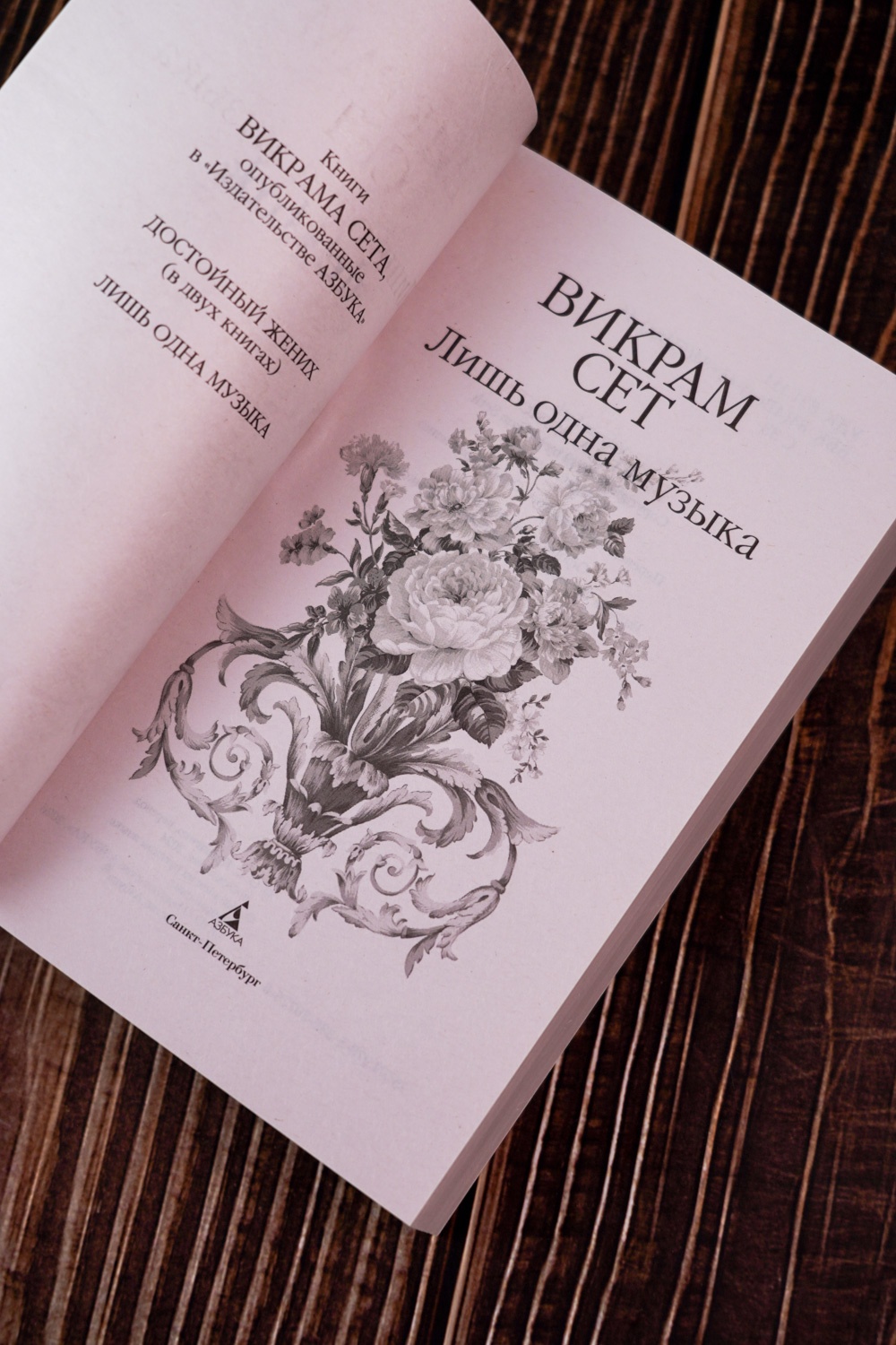 Промо материал к книге "Лишь одна музыка (мягкая обложка)" №6