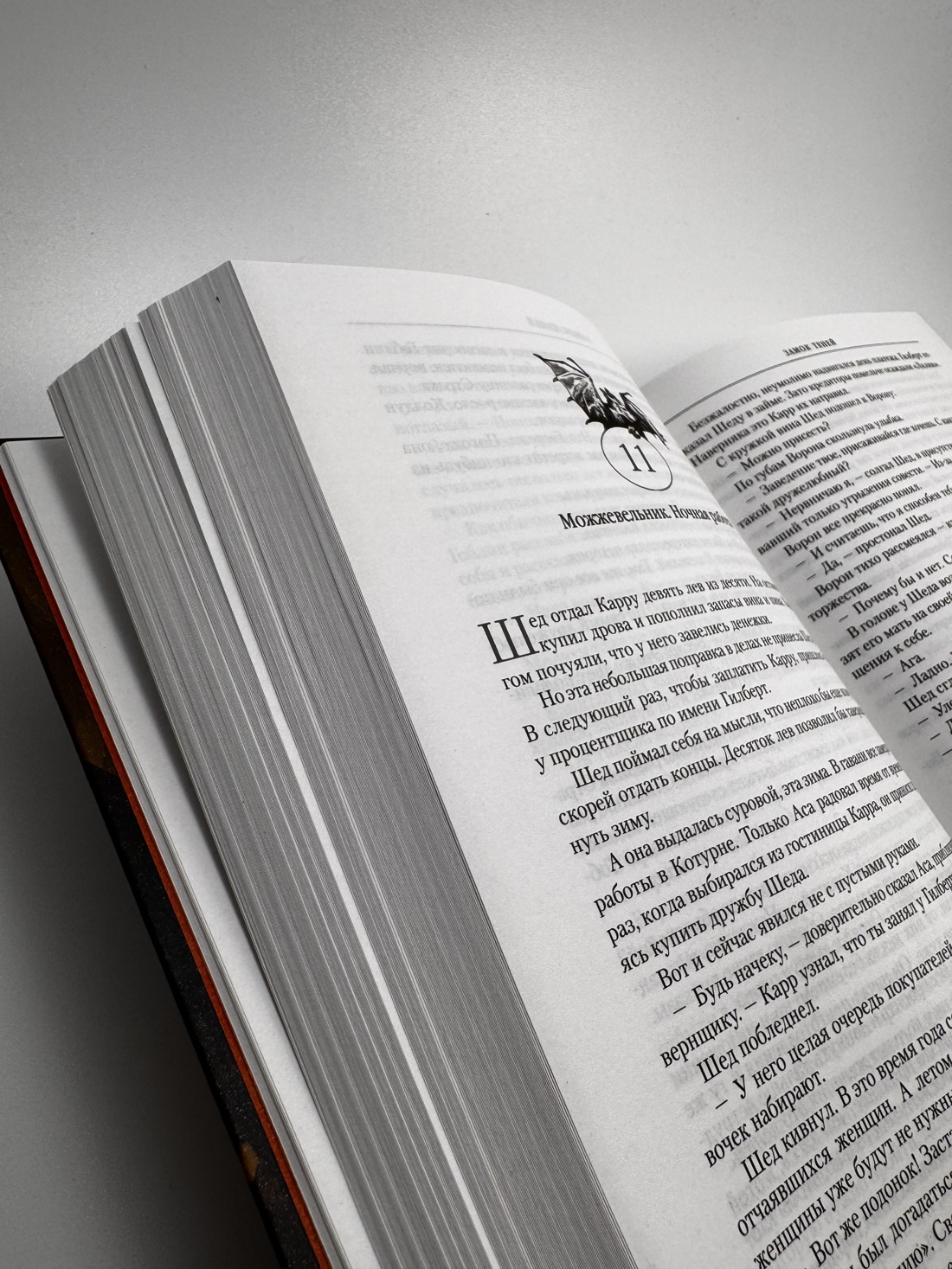 Промо материал к книге "Хроники Черного Отряда: Черный Отряд. Замок теней. Белая Роза" №8