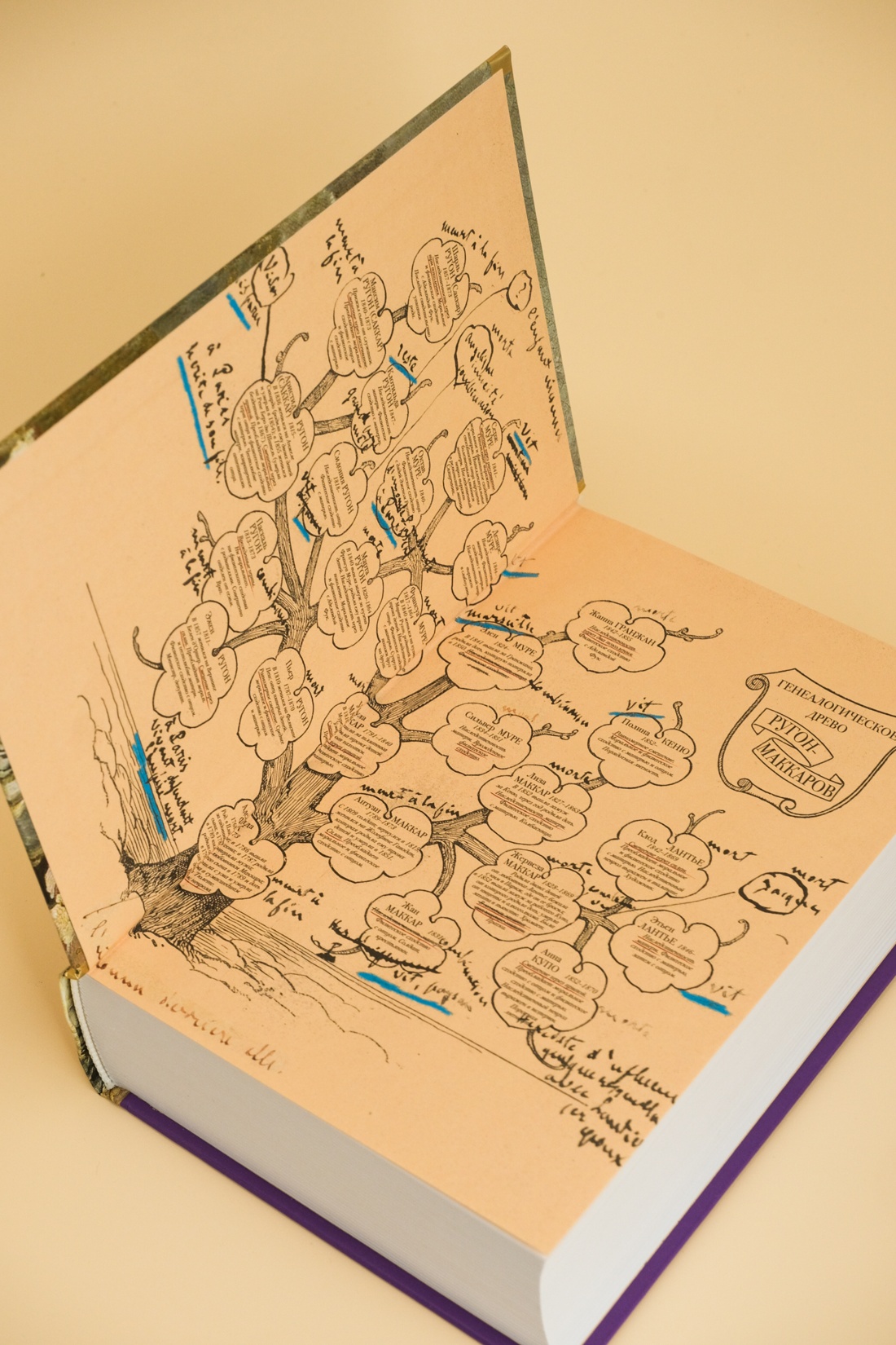 Промо материал к книге "Нана. Земля" №6