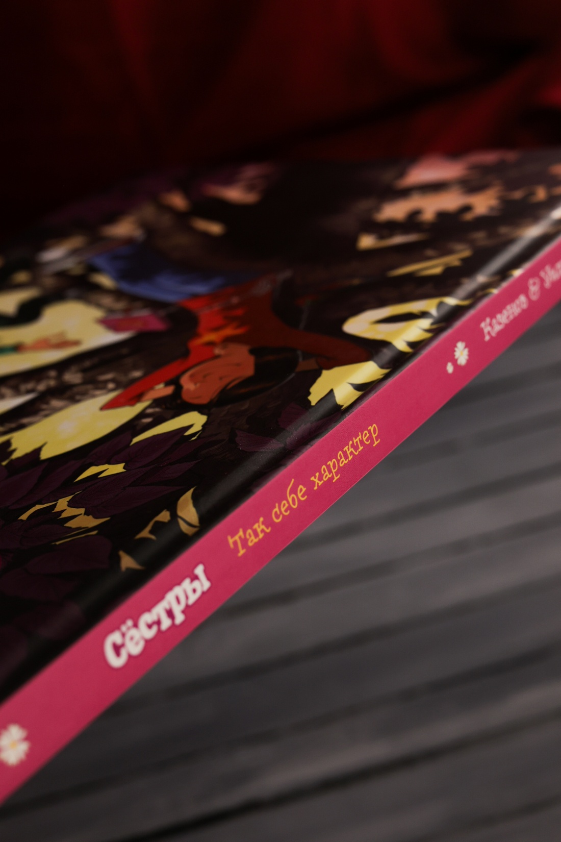 Промо материал к книге "Сёстры. Так себе характер" №8