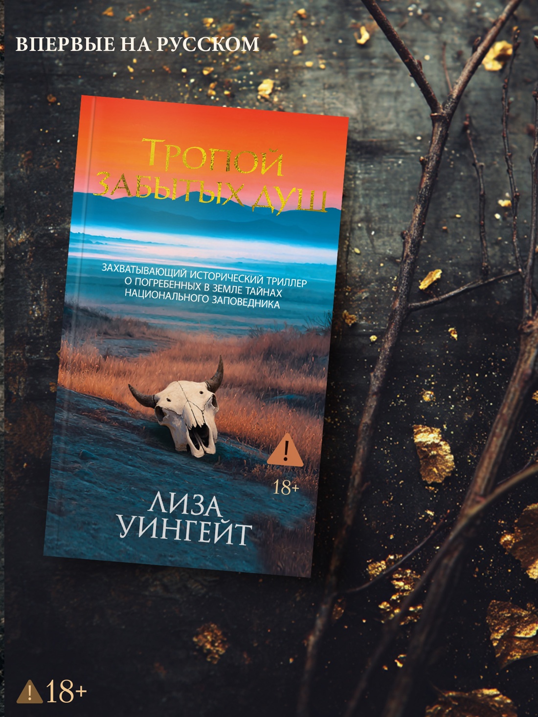 Промо материал к книге "Тропой забытых душ" №4