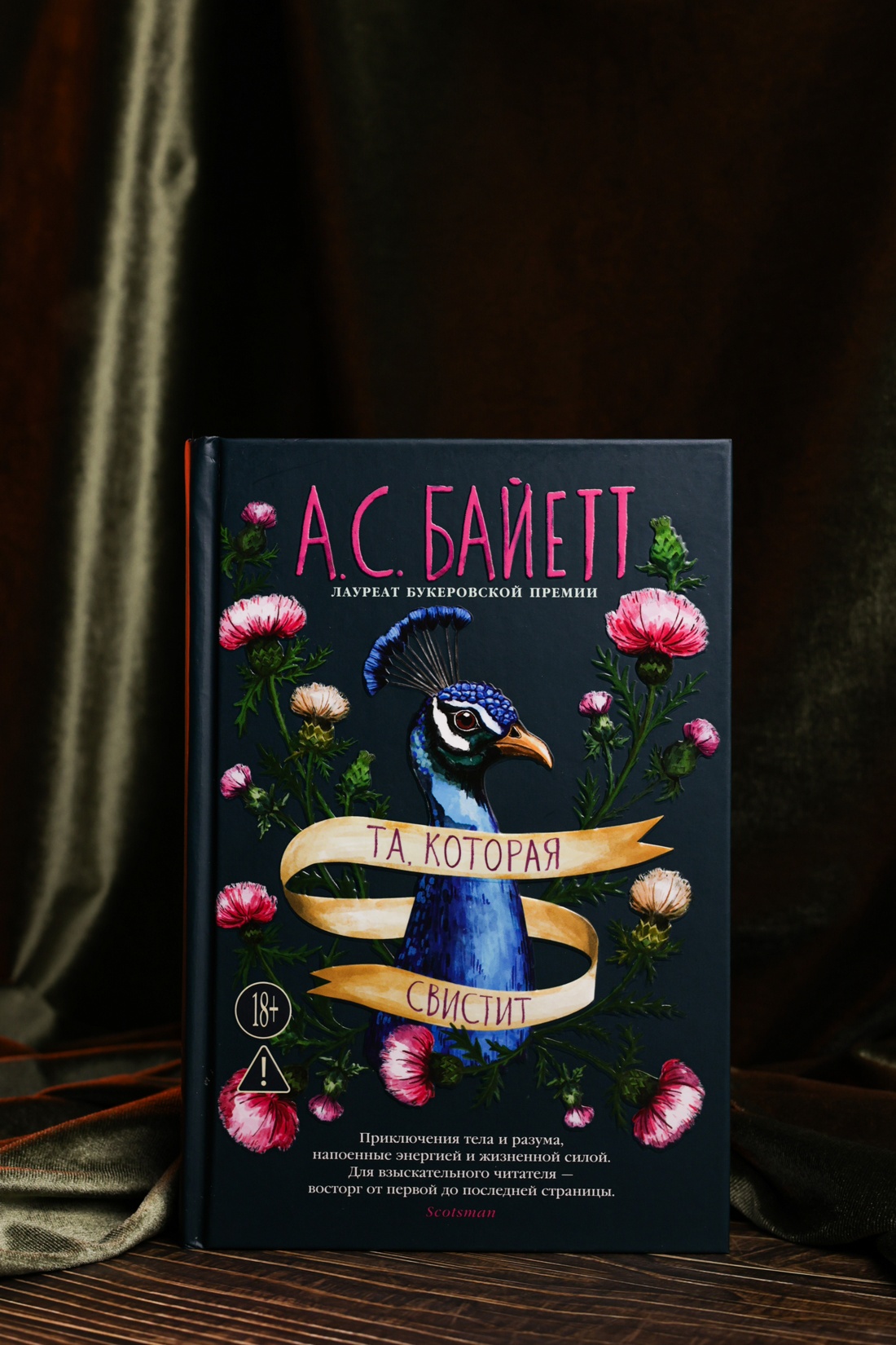 Промо материал к книге "Та, которая свистит" №6