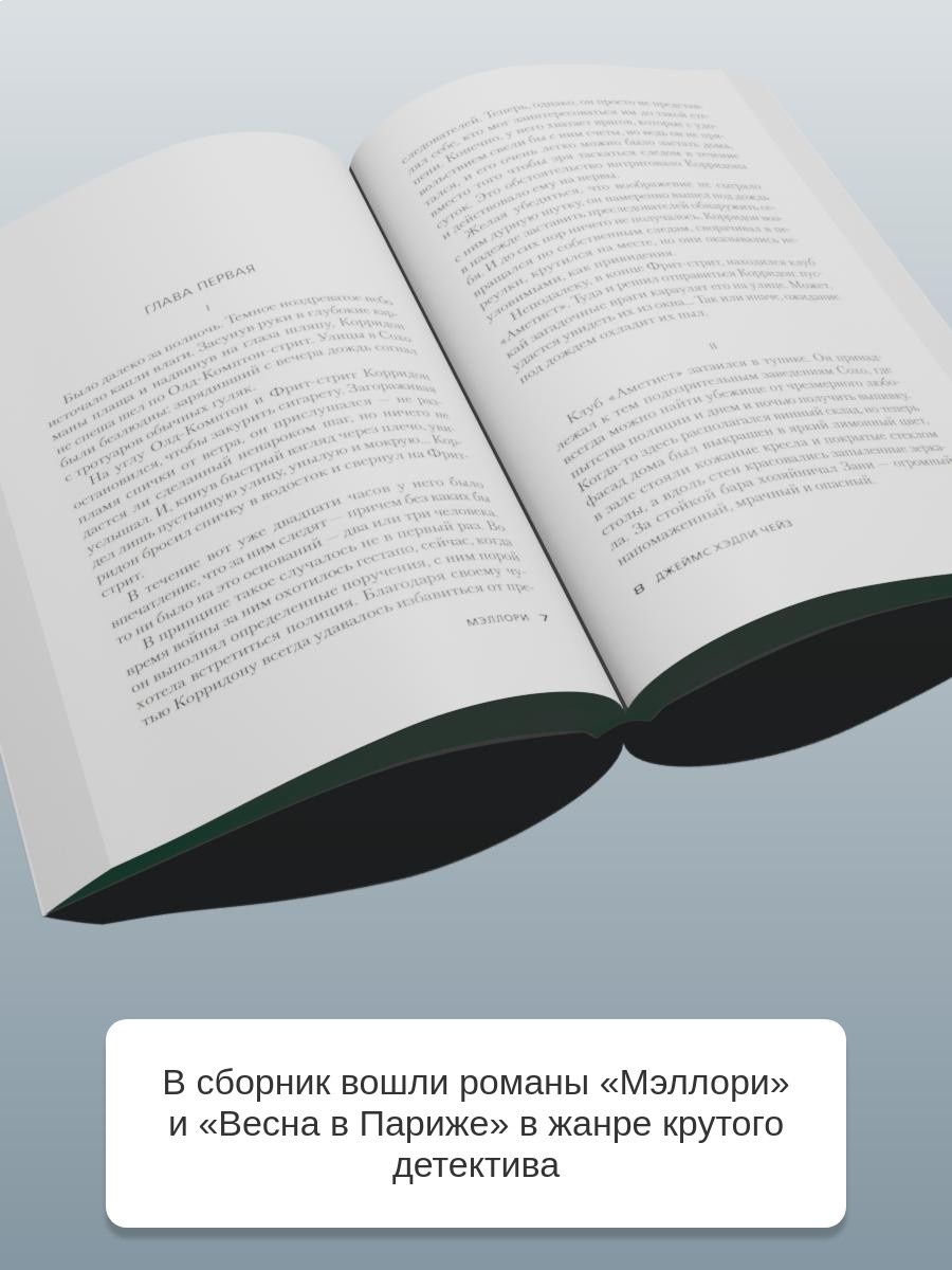 Промо материал к книге "Весна в Париже" №2