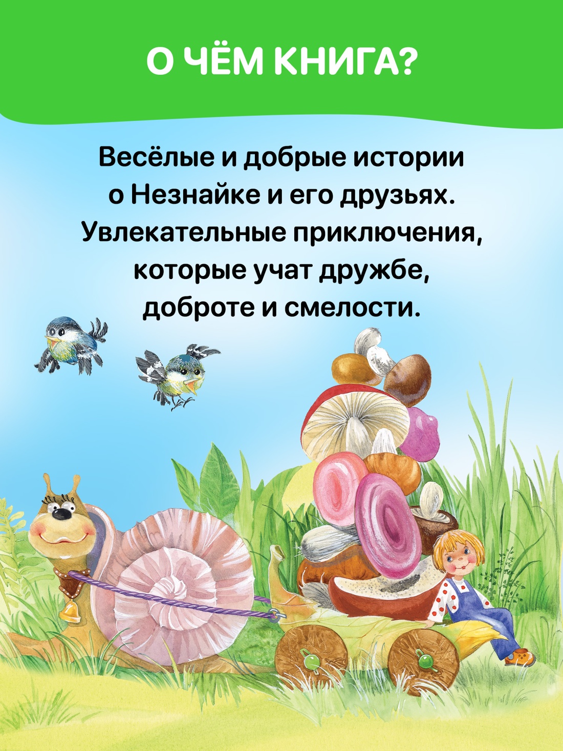 Промо материал к книге "Приключения Незнайки и его друзей (объёмные картинки)" №2