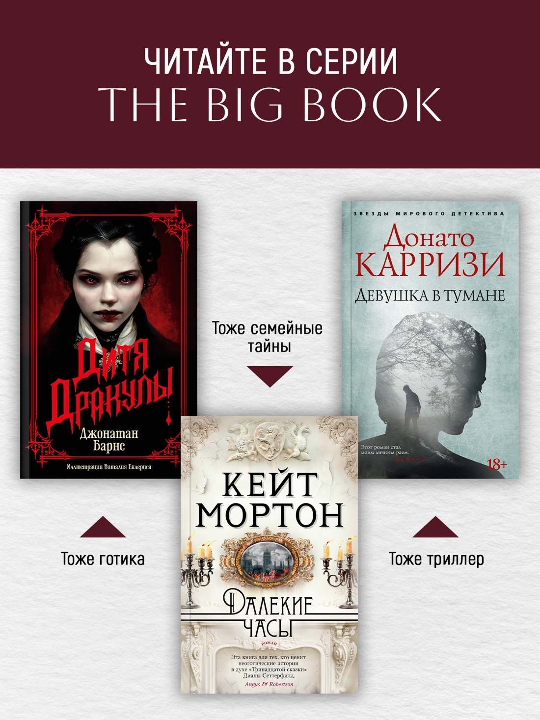Промо материал к книге "Тринадцатая сказка (The Big Book (мягкая обл))" №2