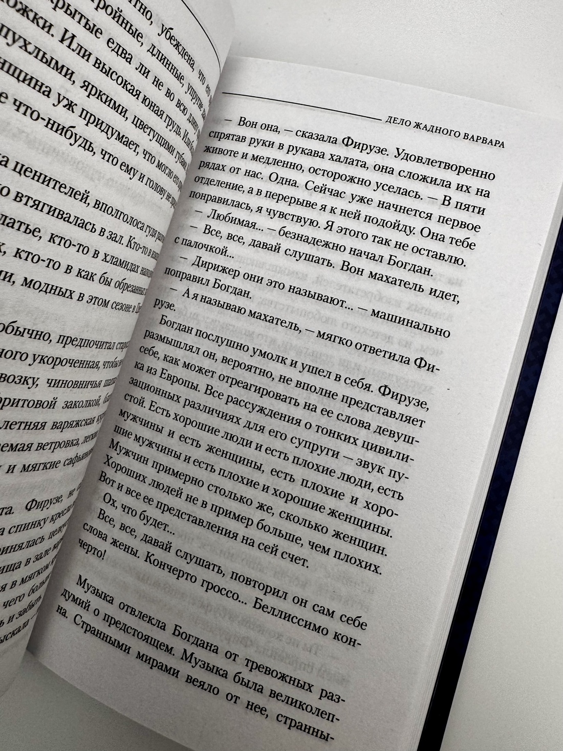 Промо материал к книге "Дело жадного варвара" №12