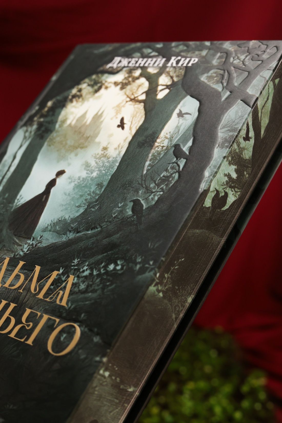 Промо материал к книге "Ведьма Вороньего леса" №12