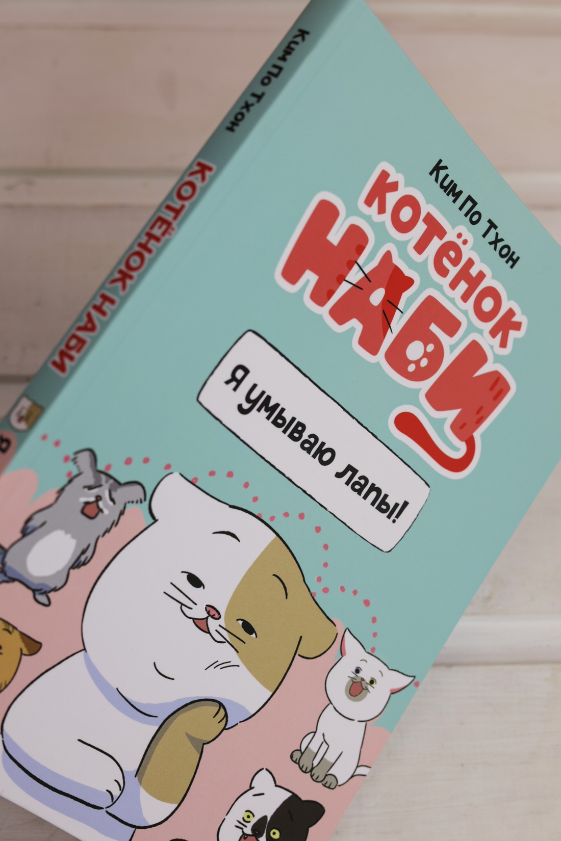 Промо материал к книге "Котёнок Наби. Я умываю лапы!" №5