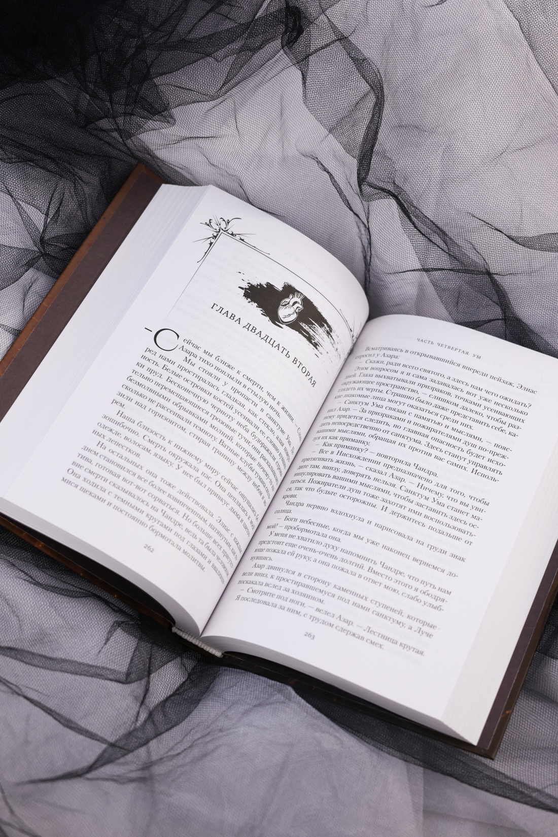 Промо материал к книге "Короны Ниаксии. Певчая птица и каменное сердце. Книга первая из дилогии о тенерожденных" №11