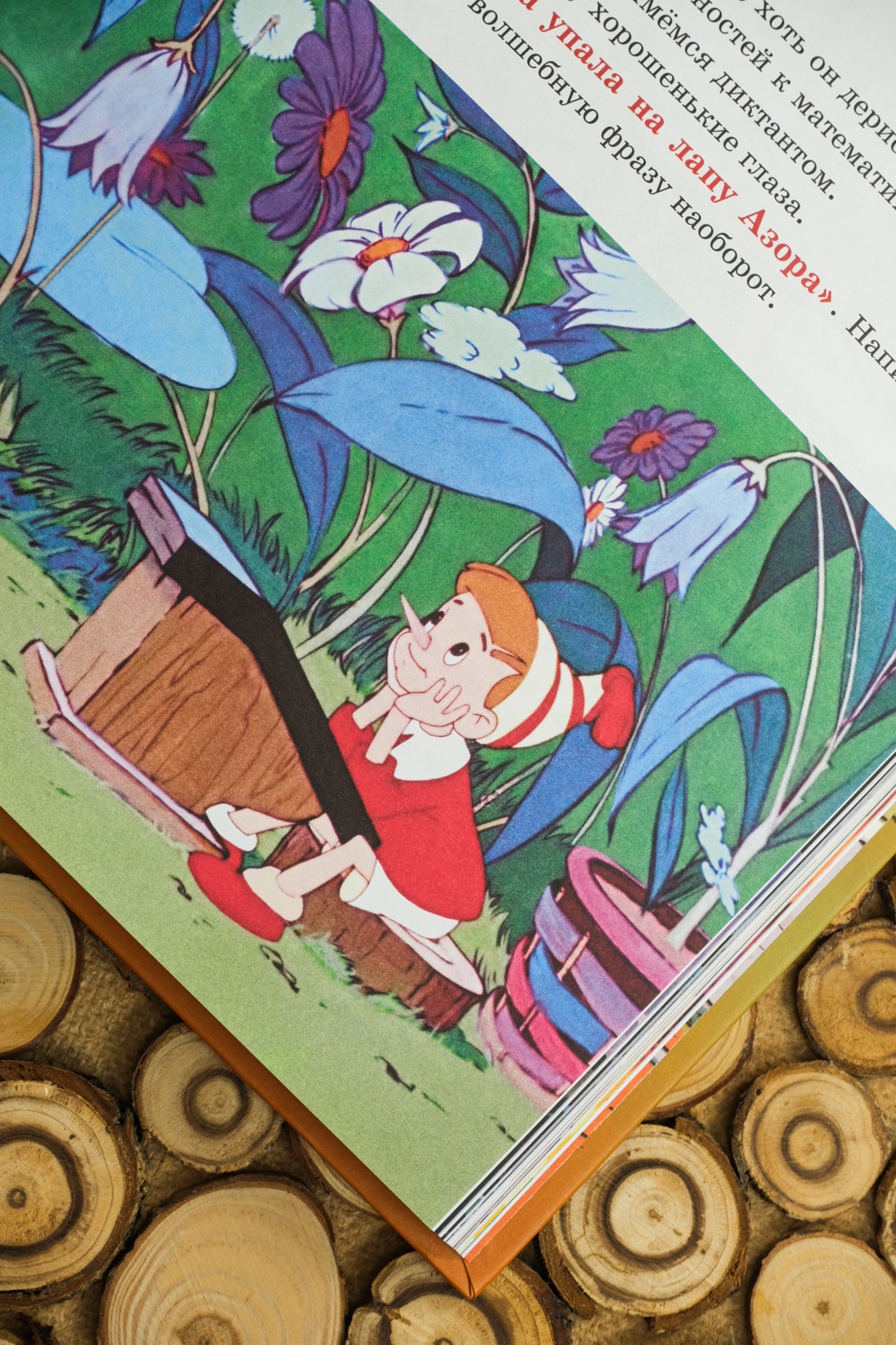 Промо материал к книге "Золотой ключик, или Приключения Буратино" №13